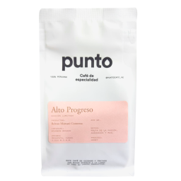 Punto - Alto Progreso